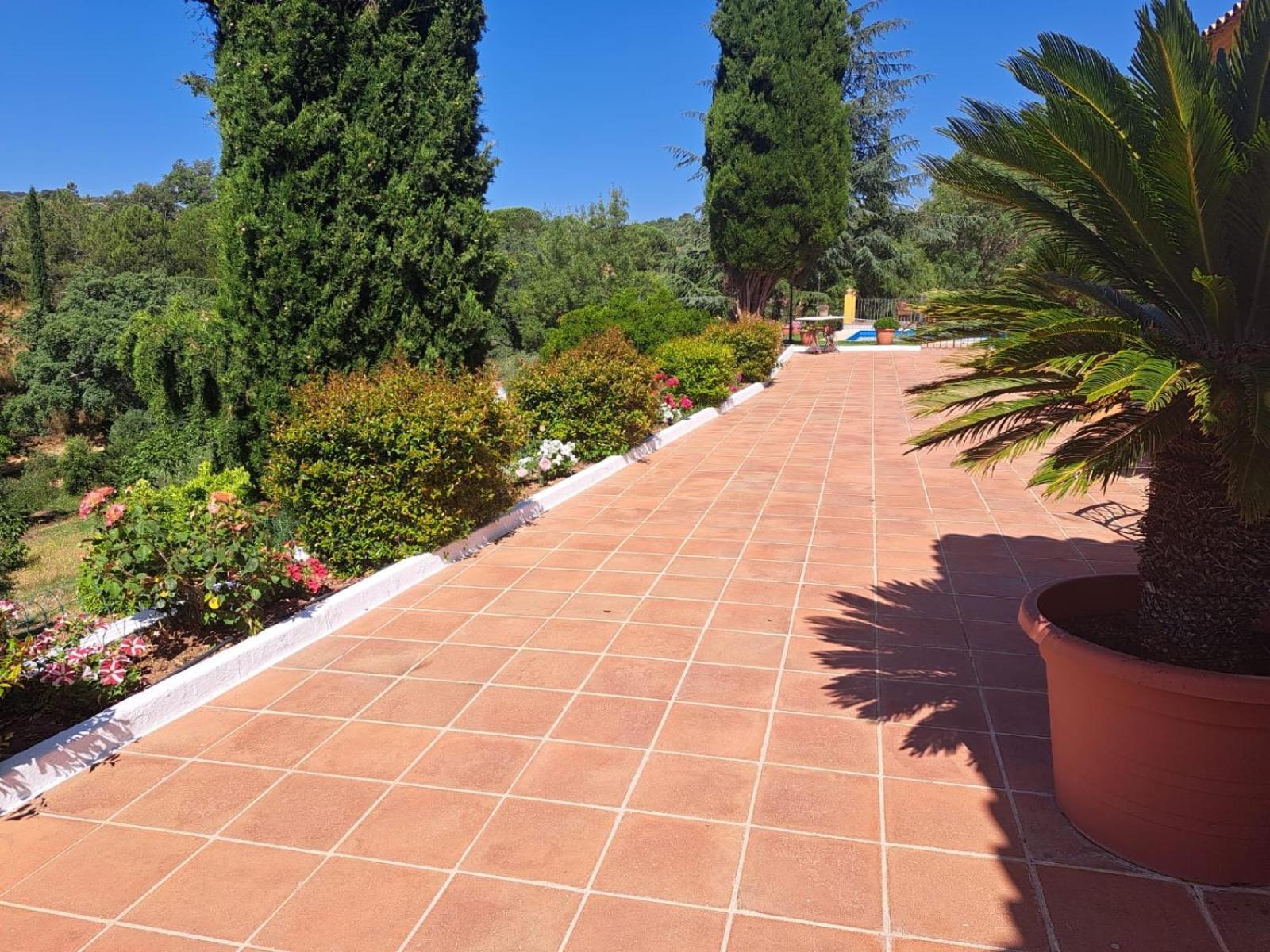 Casa Rural Villa Manuela كثل دي لا سييرا المظهر الخارجي الصورة